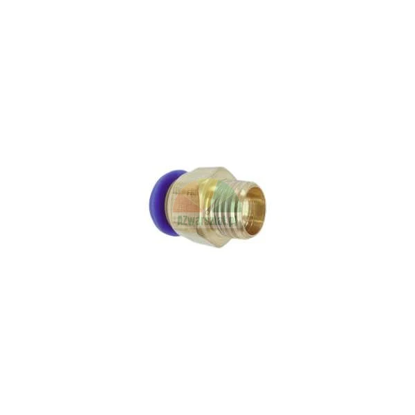 Brass straight push-in pneumatic fitting with external thread and blue release collar.