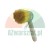 Round brush with natural bristles and a wooden handle on a white background.