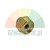 Brass threaded plug with hexagonal socket and blue element on white background