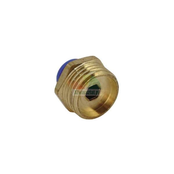 Brass threaded plug with hexagonal socket and blue element on white background