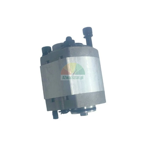 Hydraulic gear pump with metal casing and mounting bolts on a white background.