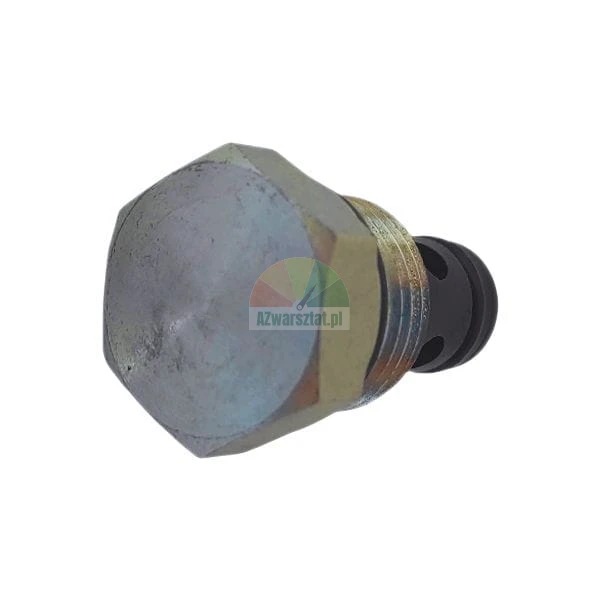 Metal valve plug with hexagonal head and o-ring seal.