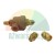 Metal pressure regulator with two brass fittings on a white background.