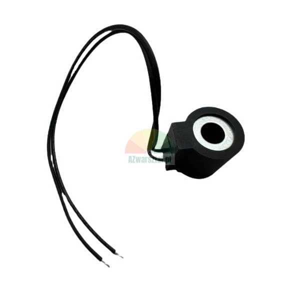Black solenoid coil with two lead wires for electromagnetic valve