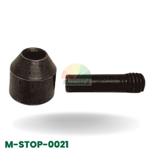 Metal guide roller for tire changer mounting head with mounting screw