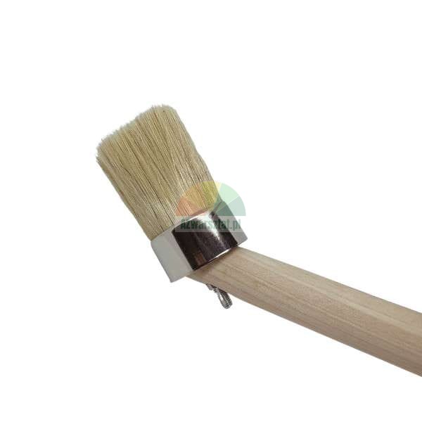 Round paint brush with light bristles and a wooden handle on a white background.