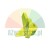 Bright green climbing hold with an irregular shape on a white background.