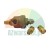 Brass oil burner nozzle with a filter and two threaded fittings on a white background.