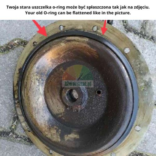 Worn O-ring seal for ATH-Heinl bead breaker cylinder.