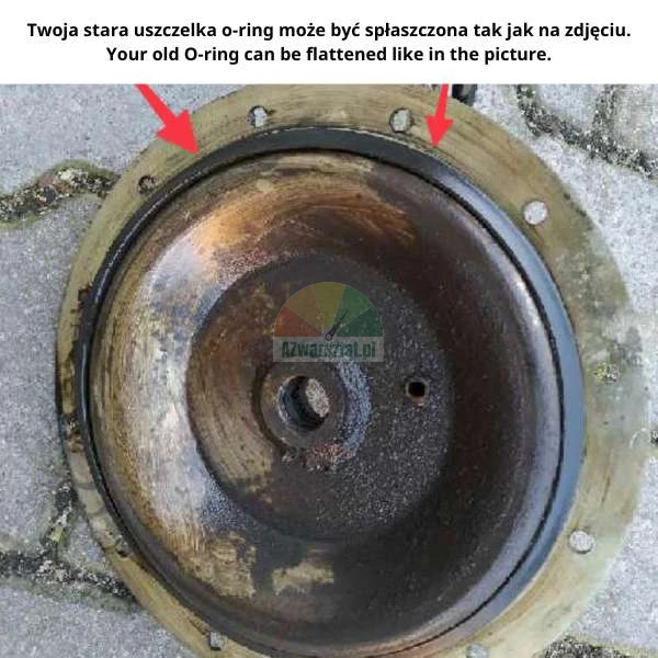 Worn O-ring seal for ATH-Heinl bead breaker cylinder.