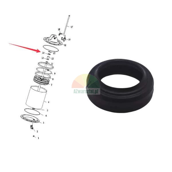 Black rubber seal ring and technical exploded view diagram with a red arrow pointing to part 14.