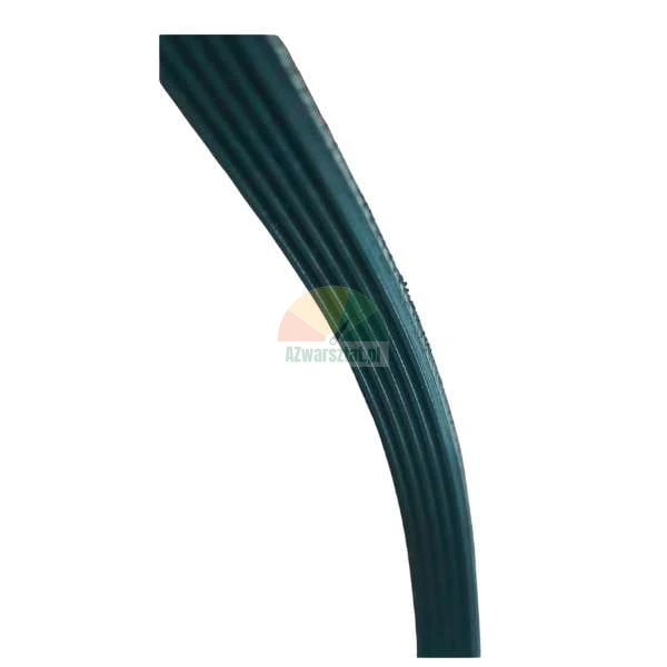 Close-up of a black multi-ribbed serpentine belt.