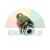 Metal hydraulic or pneumatic fitting with external thread and O-ring seal.