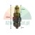 Lift safety check valve 62mm G20 with dimensions diagram