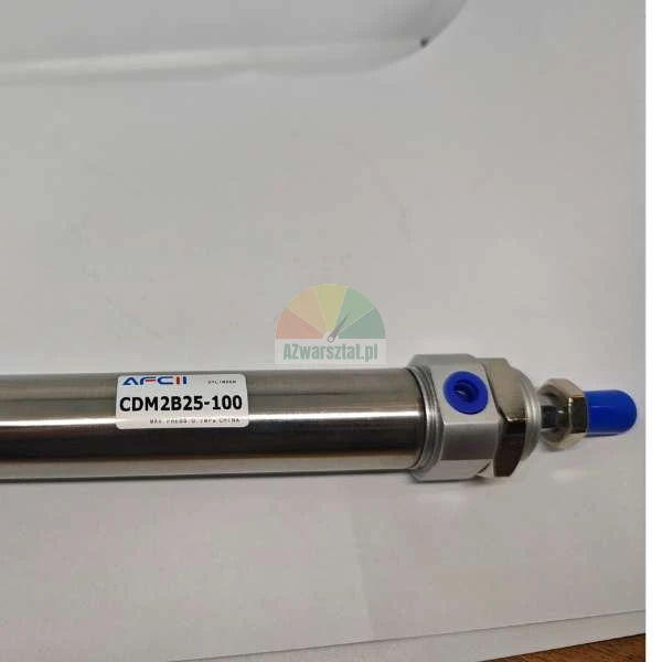 AFCI CDM2B25-100 pneumatic cylinder made of stainless steel with a blue cap.