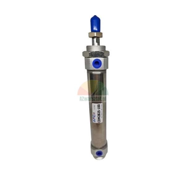 CDM2B25-100 AFCI stainless steel roundline pneumatic cylinder with blue protective caps.