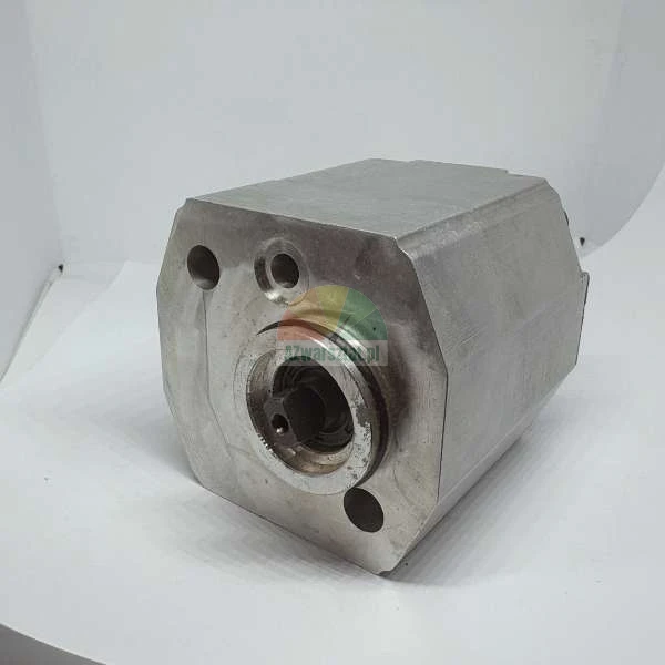 Industrial hydraulic pump or motor in a metal housing with a visible shaft and mounting holes.