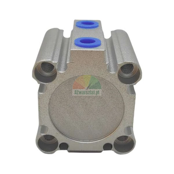 Pneumatic cylinder TWSA-50U-G replacement for Twin Busch