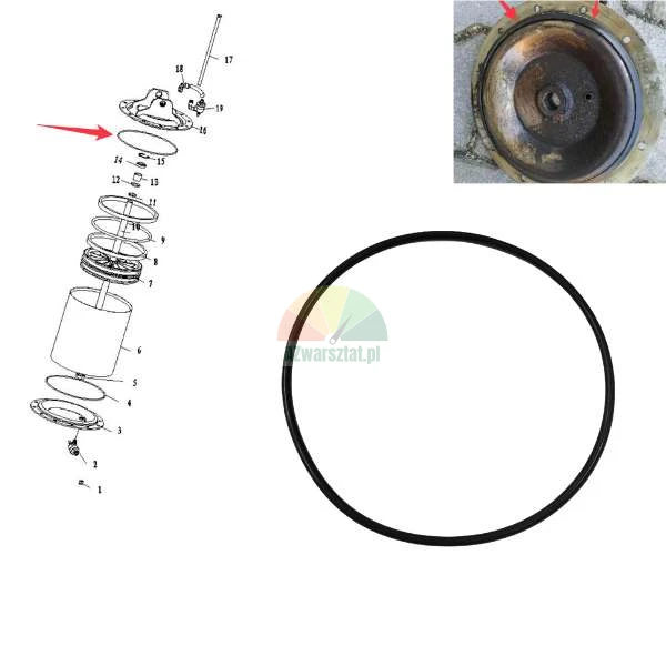 Black rubber O-ring seal shown in a technical exploded diagram and photo of a mechanical component.