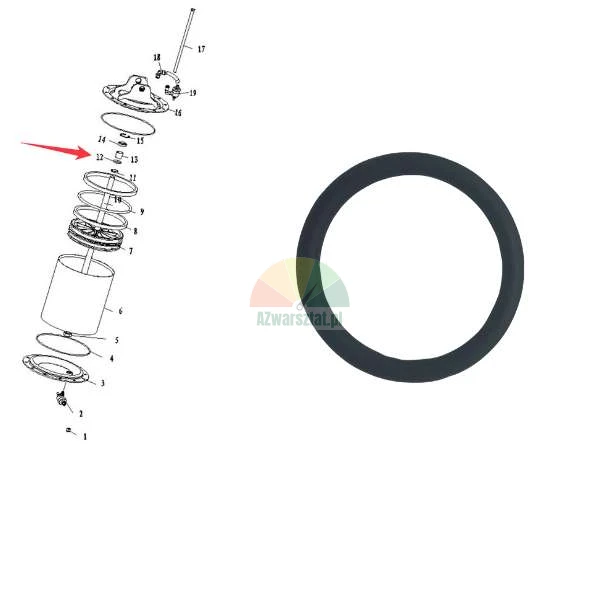 Black rubber O-ring seal shown next to a technical exploded diagram of a brake cylinder with a red arrow pointing to the seal location.