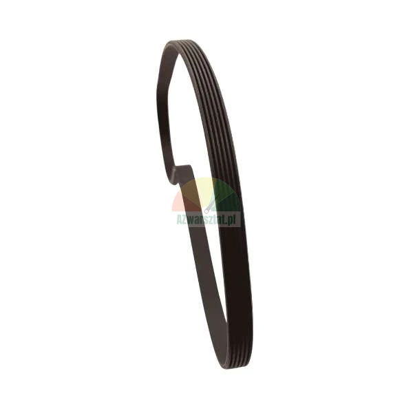 Black multi-ribbed drive belt on a white background.