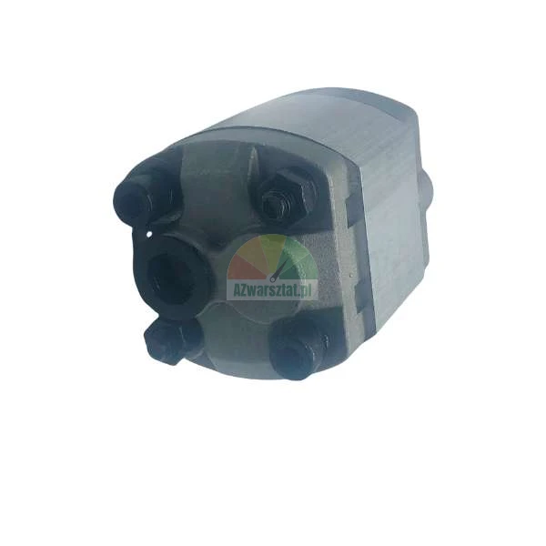 Hydraulic gear pump with four mounting bolts on the front panel.