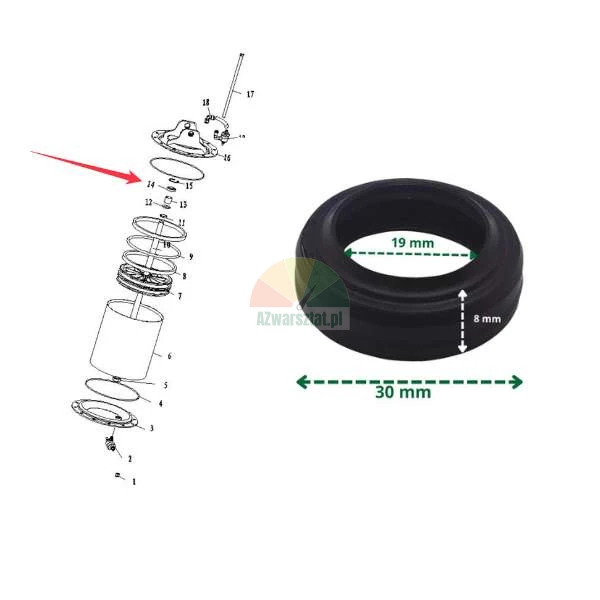 Black rubber seal with dimensions: outer diameter 30 mm, inner diameter 19 mm, height 8 mm, shown next to a technical diagram of its placement.