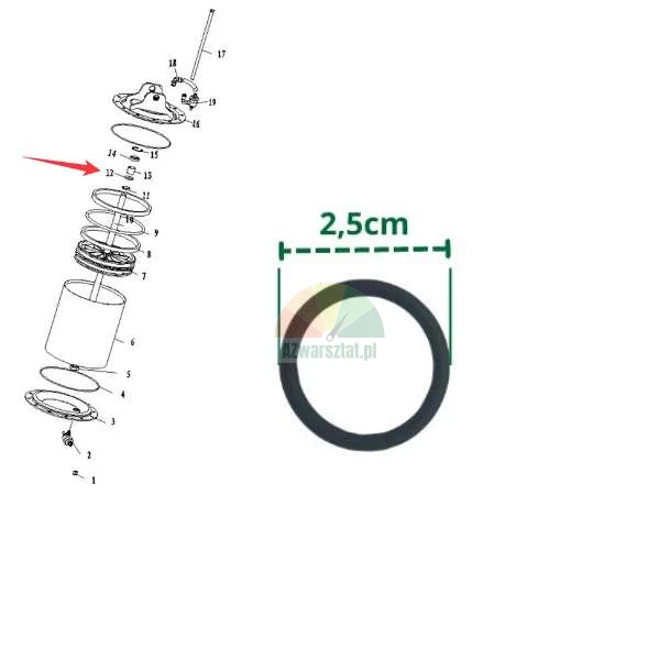 Technical parts diagram with a red arrow pointing to a specific seal and a close-up of a black sealing ring with a diameter of 2.5 cm