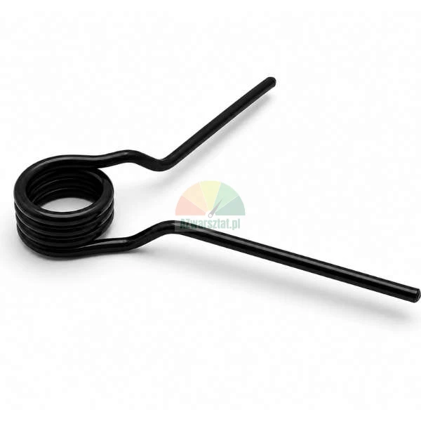 Black torsion spring 25mm on a white background