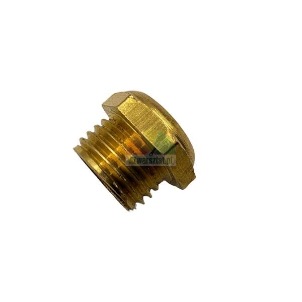 Brass plug with male thread and hexagonal head on a white background.