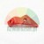 Red plastic bicycle chain guide component on a white background
