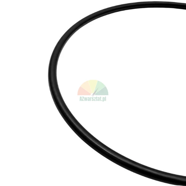 Black rubber O-ring seal on a white background